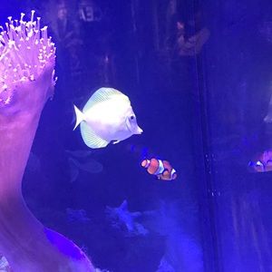 Meet your Posher, Becca